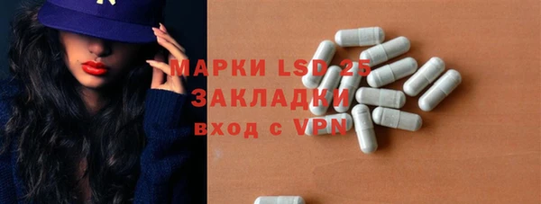 крисы Абаза