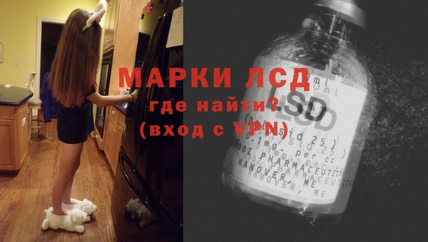 крисы Абаза