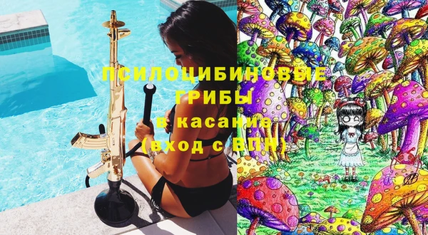 крисы Абаза